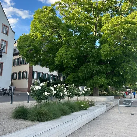 Luxurioeses 2-zimmer-apt Im Scandi-coastal-stil I Toplage I Familienfreundlich I Balkon I Kueche I Netflix I Kostenloser Parkplatz I 65 M2 Appartement Eltville am Rhein